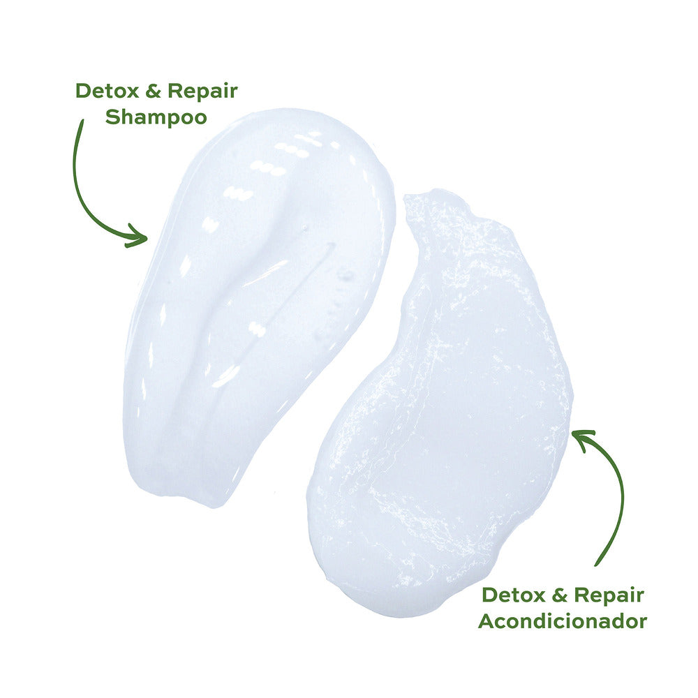 Detox & Repair Shampoo